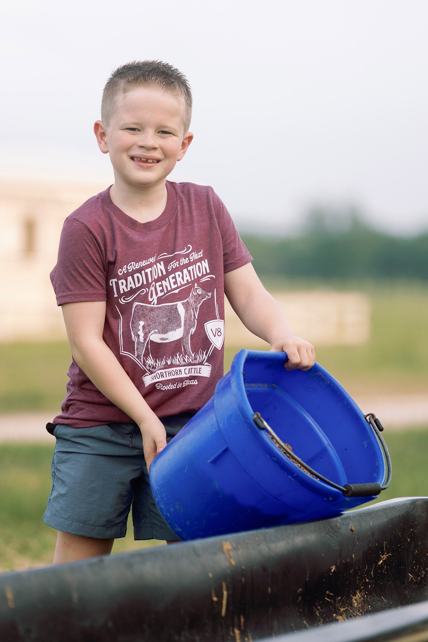 Knox's Shorthorn Cattle T-Shirt — A Renewed Tradition for the Next Generation