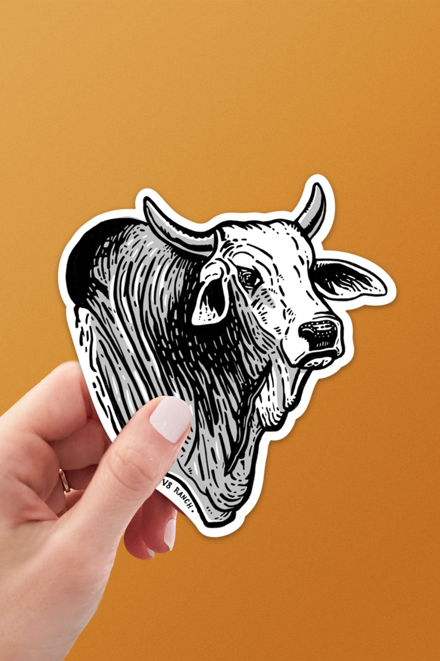 Brahman Bull V8 Sticker