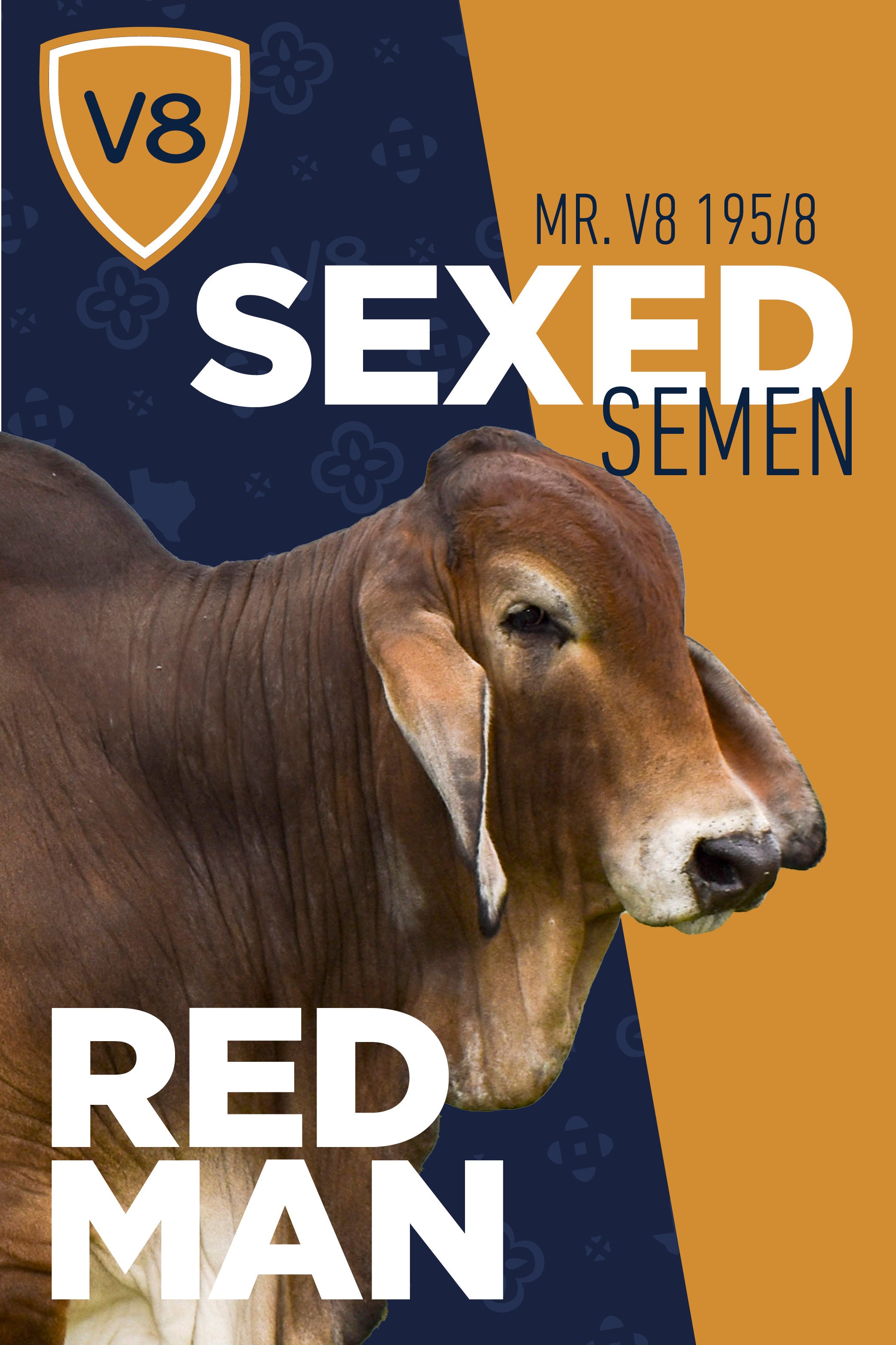 +Mr. V8 195/8 "Red Man" Sexed Semen - Package of 2 Units
