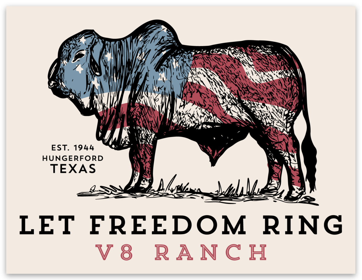 Let Freedom Ring V8 Sticker
