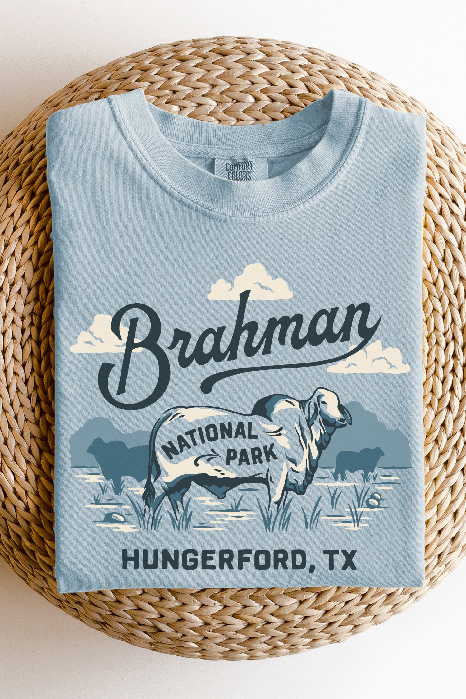 Brahman National Park V8 Tee